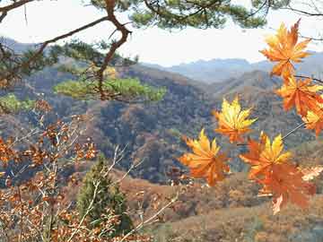 中國(guó)吃播何偉麗最新與自然美景的邂逅之旅，尋找內(nèi)心平和的旅程