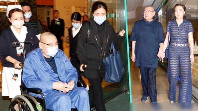 甘比日常故事與溫馨瞬間，最新照片回顧至2024年