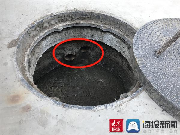 福建臺幫幫團最新一期揭秘，小巷深處的隱藏美食瑰寶