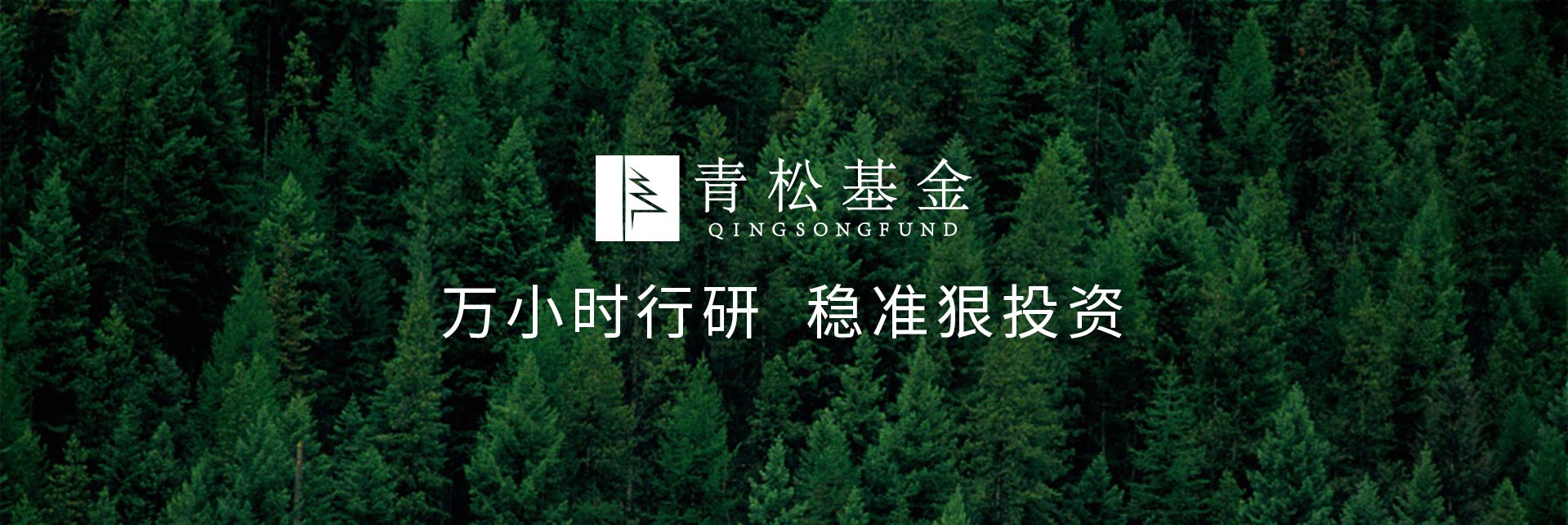長青樹眾籌最新動態(tài)，背景、發(fā)展與時代地位探索