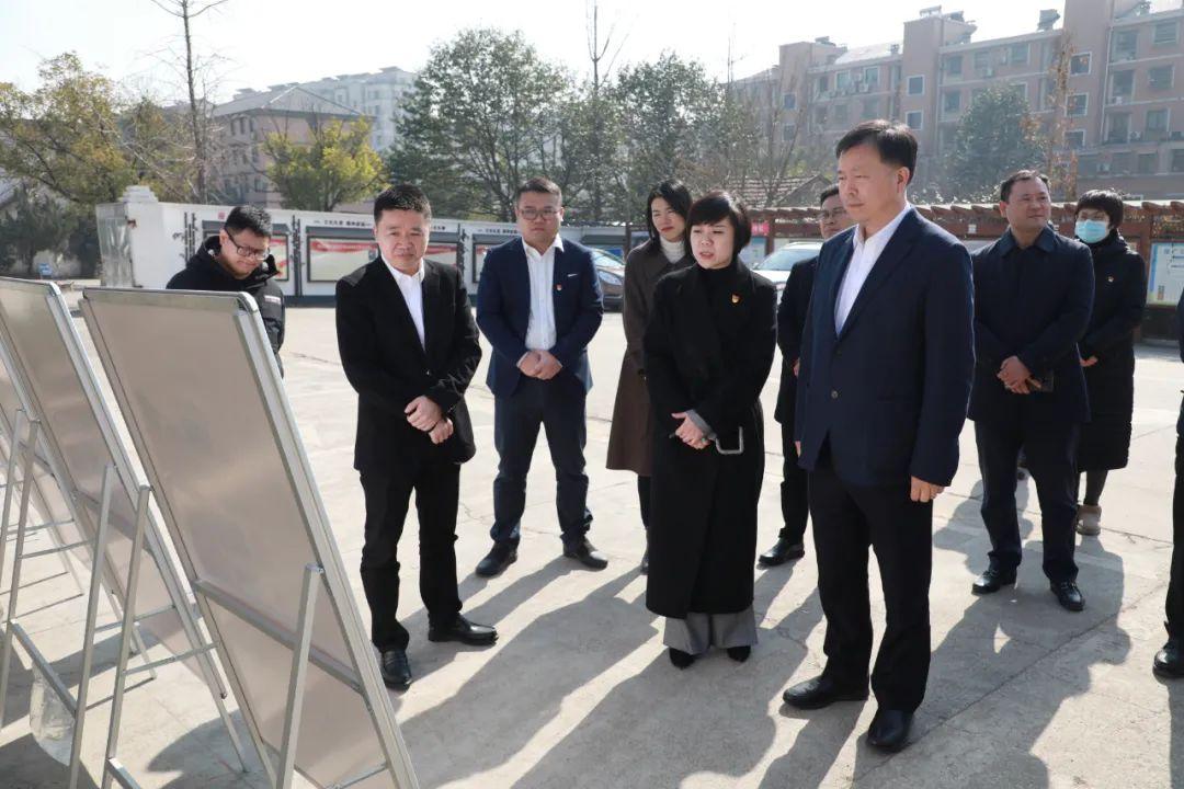 良渚大陸村最新規(guī)劃圖揭秘，小巷中的獨特風(fēng)情探索