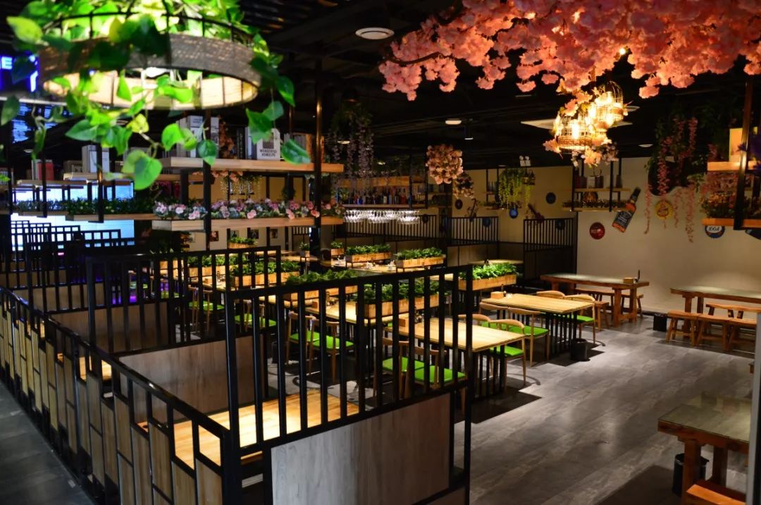 中餐廳最新一期音樂，熱門旋律與節(jié)目魅力的完美交融