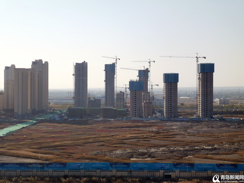 青島最新項目啟航新征程，自信成就夢想之路
