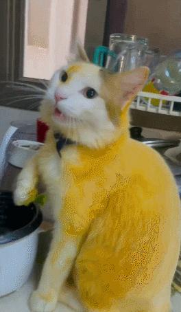 男友最新動態(tài)，科技巔峰之作，引領(lǐng)未來生活新紀元風潮