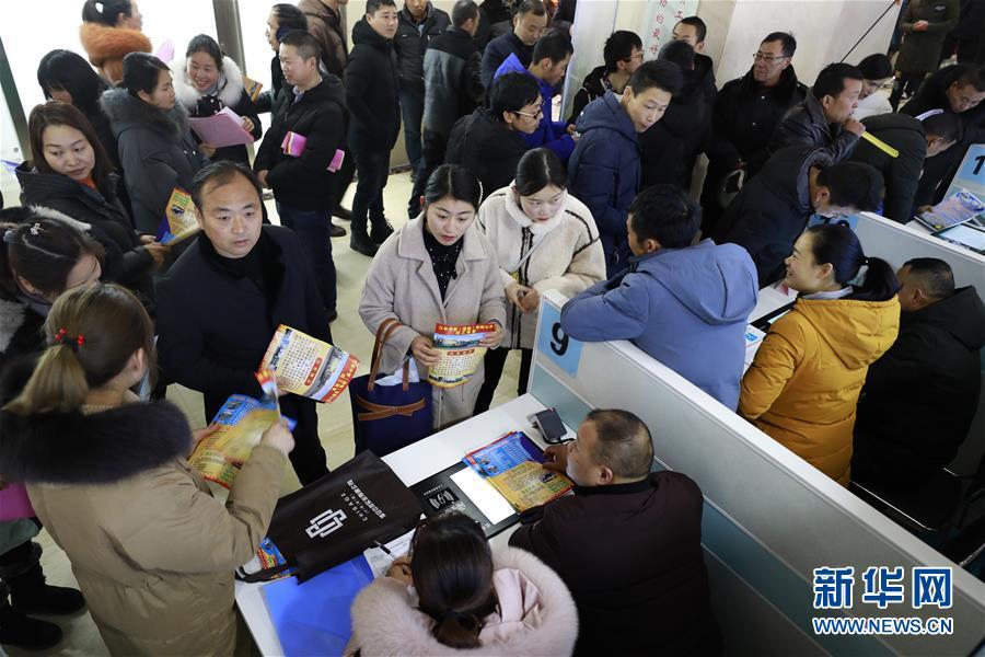 江蘇最新招聘信息揭秘，啟程探索自然美景，尋找內(nèi)心平和之旅