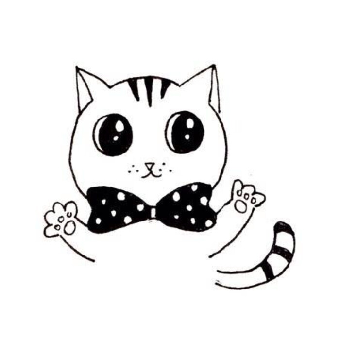 喵咪動漫，初學(xué)者與進(jìn)階用戶的技能學(xué)習(xí)指南