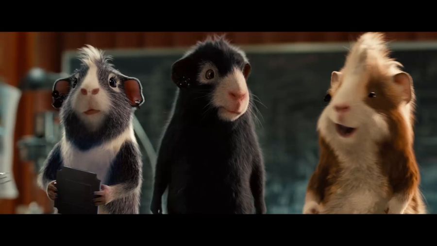 豚鼠電影,豚鼠電影，科技巨獻(xiàn)，重塑觀影體驗