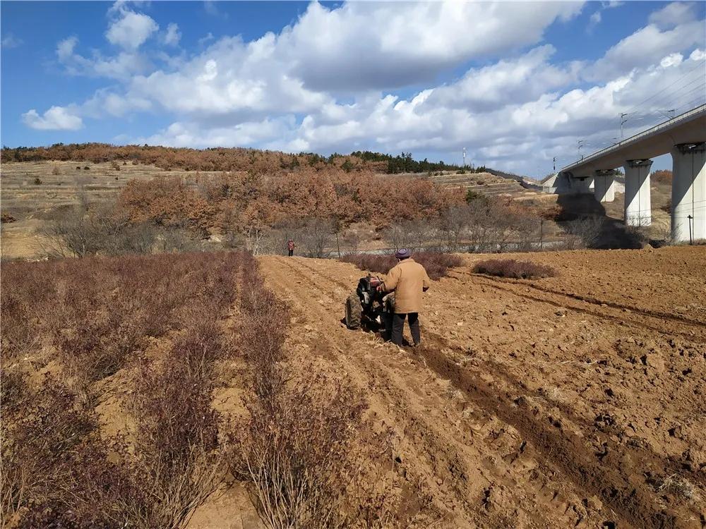 揭秘衡陽張家山規(guī)劃更新，小巷風情與隱藏小店的獨特魅力