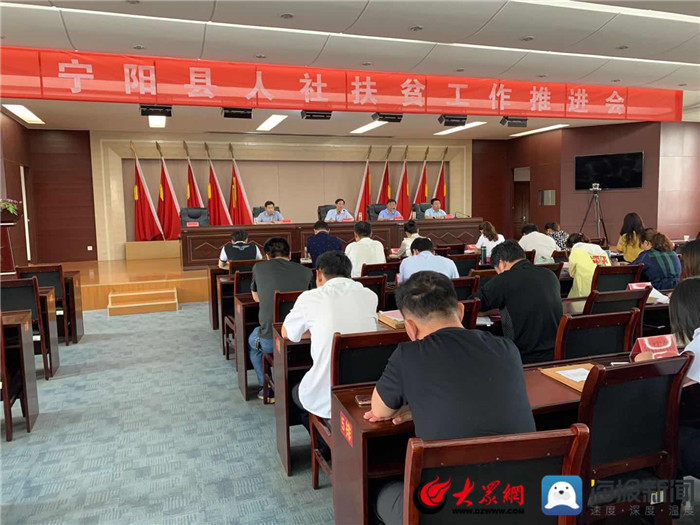 寧陽網(wǎng)最新資訊，城市中的溫情日常