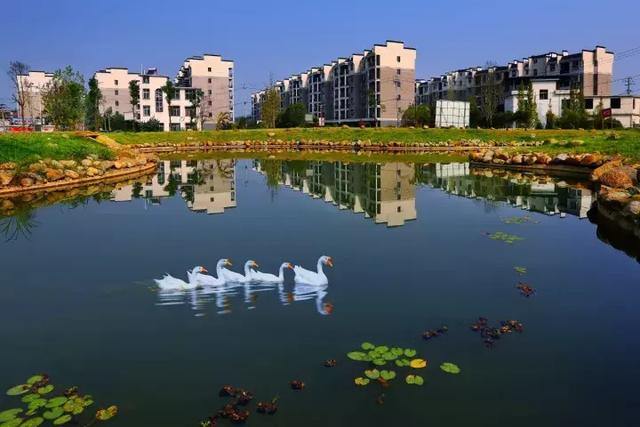 萍鄉(xiāng)安源湖，最新動(dòng)態(tài)揭示湖畔變革與自我超越之旅