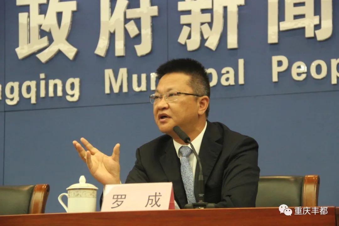 豐都新聞快訊，日常溫情與陪伴的瞬間