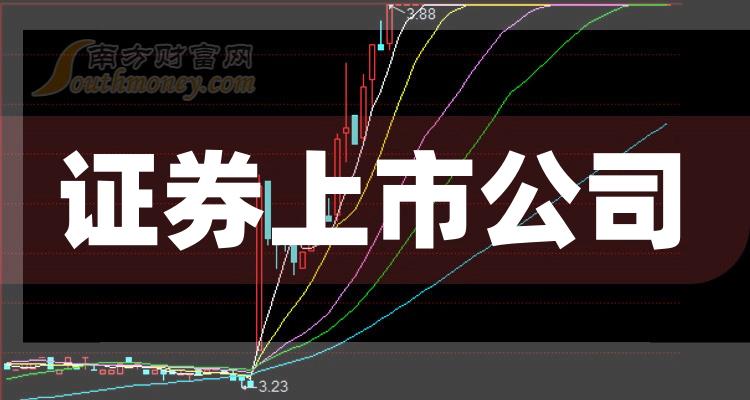 科技巨頭引領(lǐng)下的全新視界，股票上市公司概覽