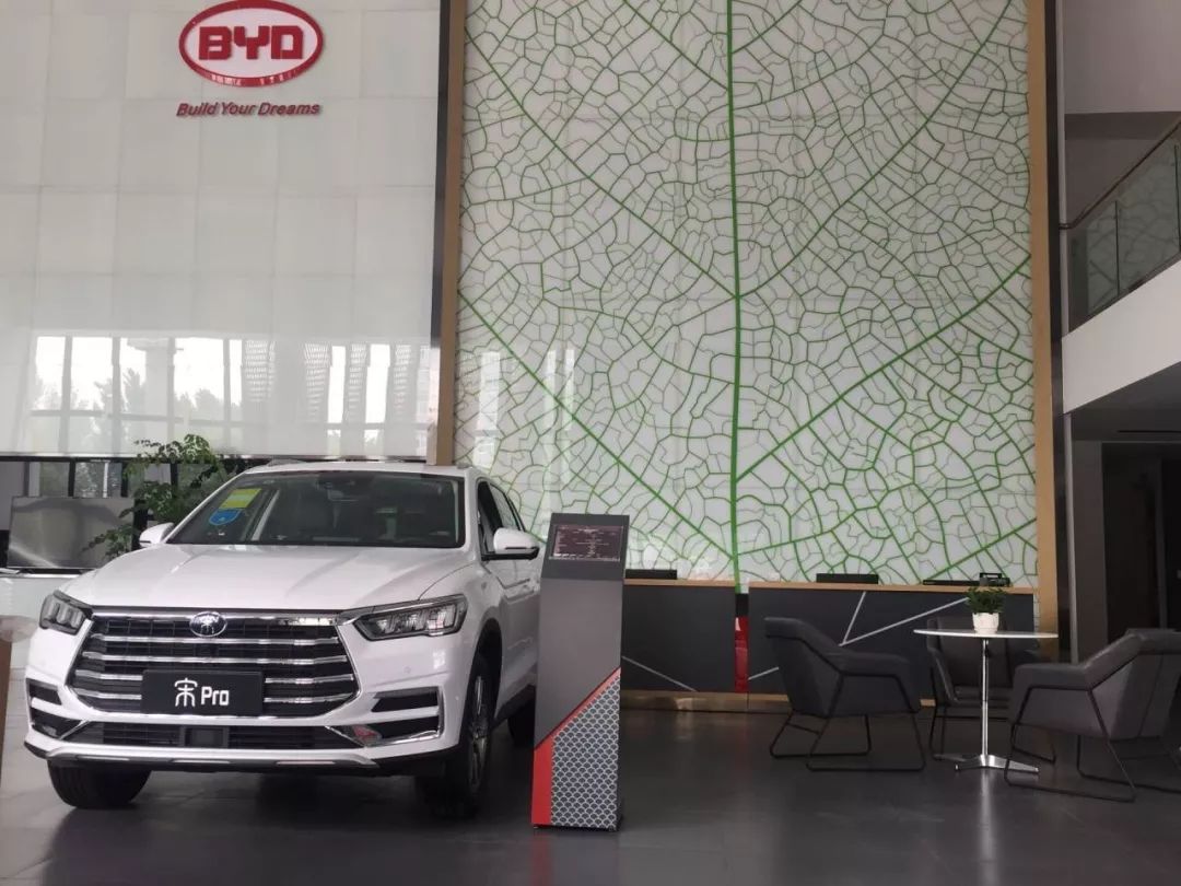 重磅更新，比亞迪最新招聘信息揭秘???