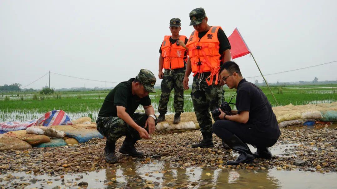 永修最新聞，背景探尋與時(shí)代地位的重要事件回顧