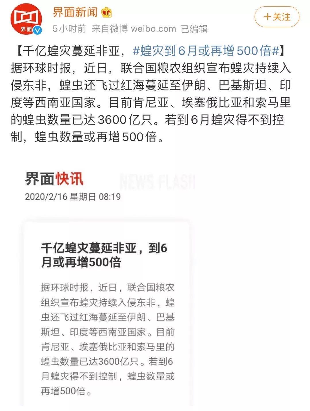 世界蝗災(zāi)最新動態(tài)，探索自然美景的輕松之旅