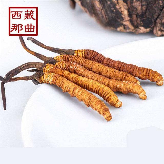 揭秘2025年蟲草最新價(jià)格，探尋小巷中的秘密行情！