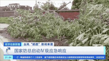 超強臺風(fēng)鸚鵡來襲，最新路徑動態(tài)全解析???